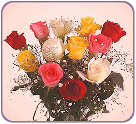 1 Dozen Mixed Roses